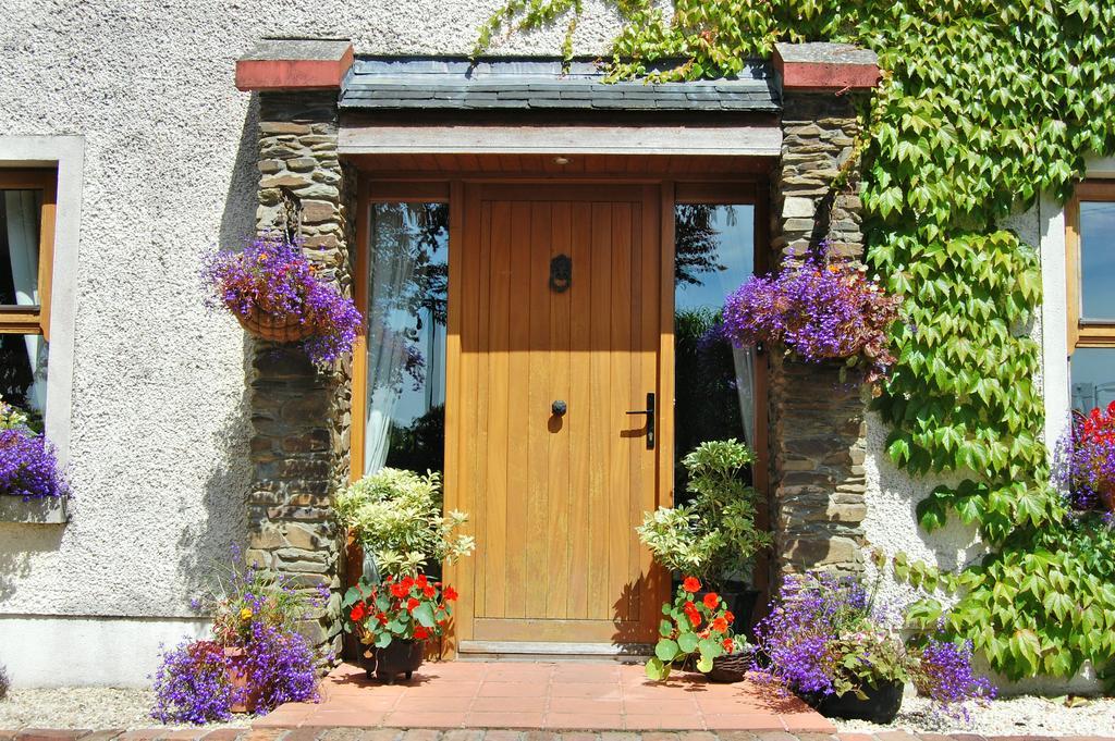 Tinnycross House B&B Ballymore Eustace Eksteriør billede