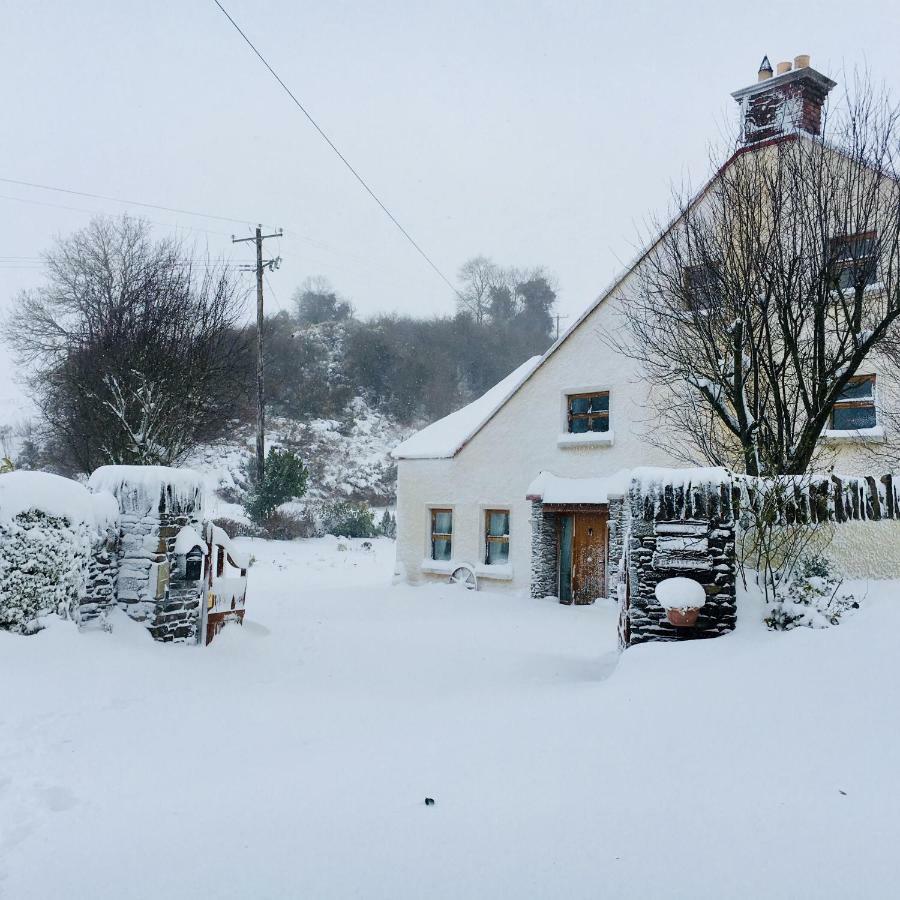 Tinnycross House B&B Ballymore Eustace Eksteriør billede